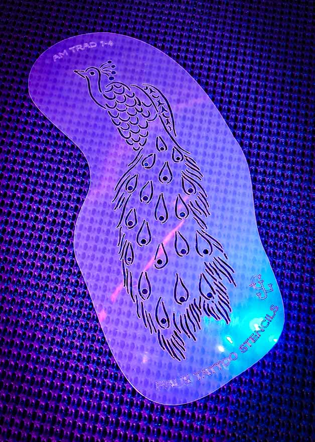 American Traditional No 1 SJ Peacock 1 4