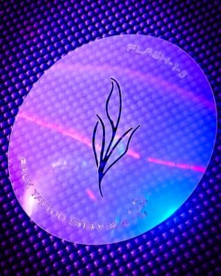 Flash Pro Set No 1 Airbrush Tattoo Stencils Little Leafy Branch 1 5